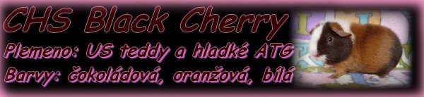 Chovatelsk� stanice U�lechtil�ch mor�at Lil Jane